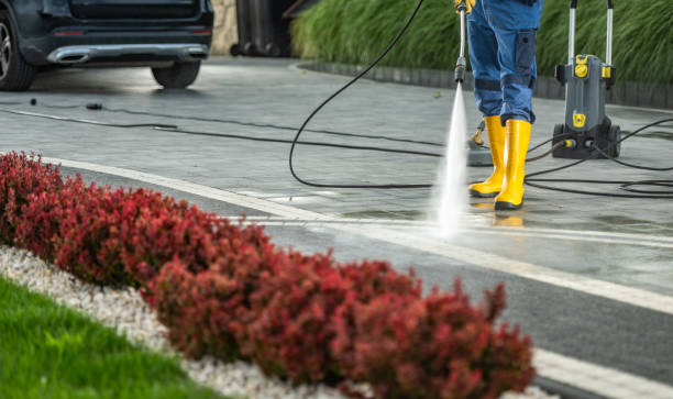 Best Driveway Pressure Washing  in Indian Trail, NC